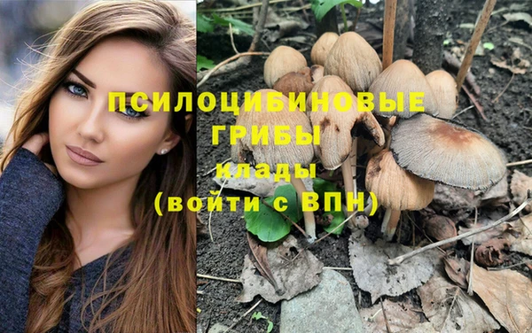 ALPHA PVP Михайлов