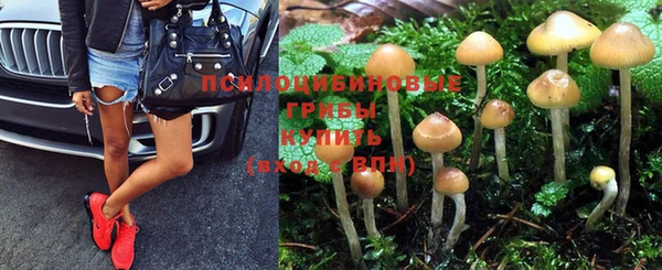 ALPHA PVP Михайлов