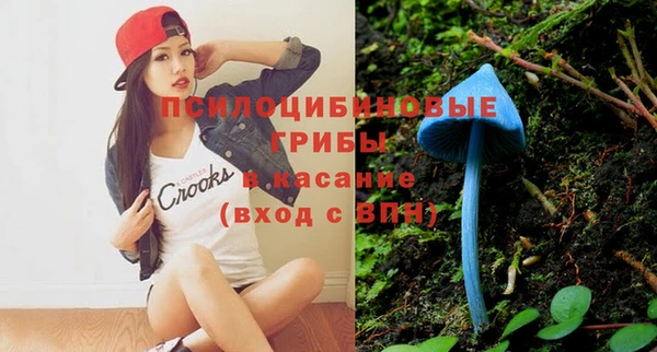 spice Михайловка