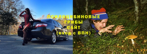 spice Михайловка