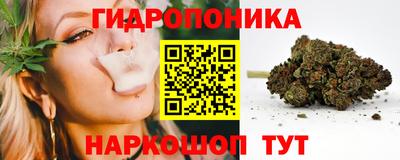 гашик Дубна
