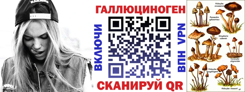 сайты даркнета официальный сайт  цена   Дербент  Галлюциногенные грибы Psilocybine cubensis 