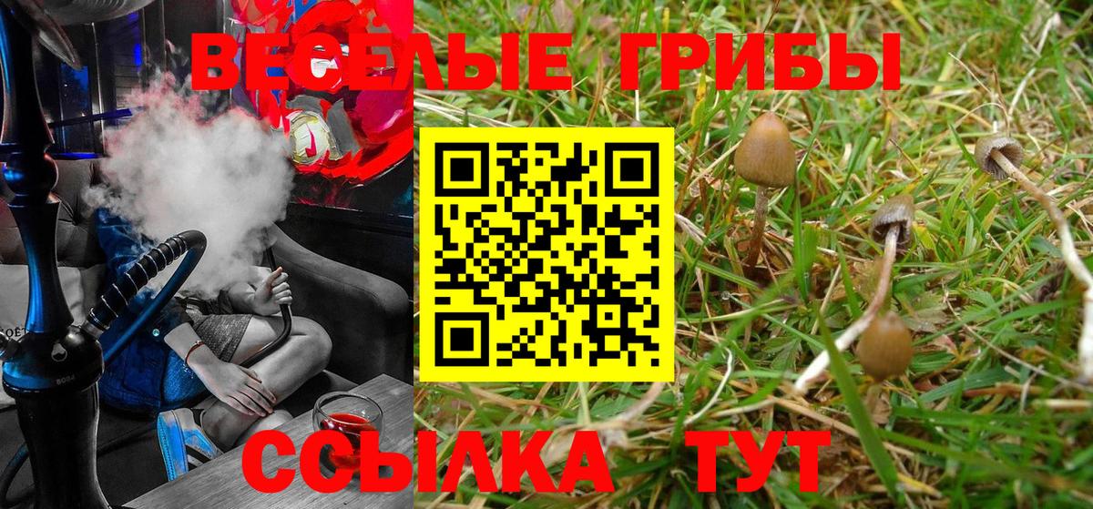 Псилоцибиновые грибы MAGIC MUSHROOMS  Псилоцибиновые грибы Magic Shrooms  Дербент 