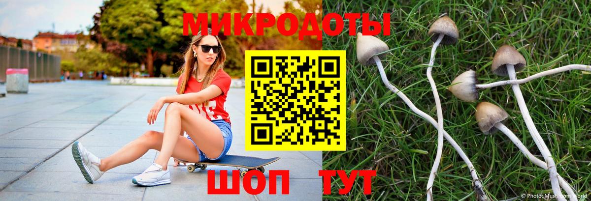 Псилоцибиновые грибы GOLDEN TEACHER Дербент