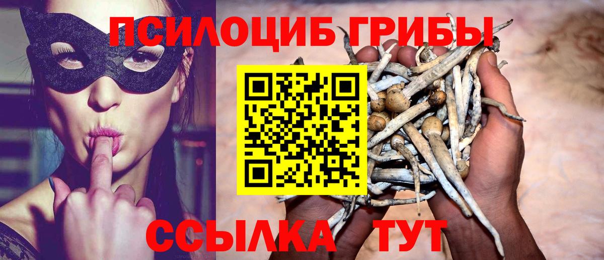 Дербент  Псилоцибиновые грибы MAGIC MUSHROOMS  наркота  Вход с VPN  Псилоцибиновые грибы мицелий 