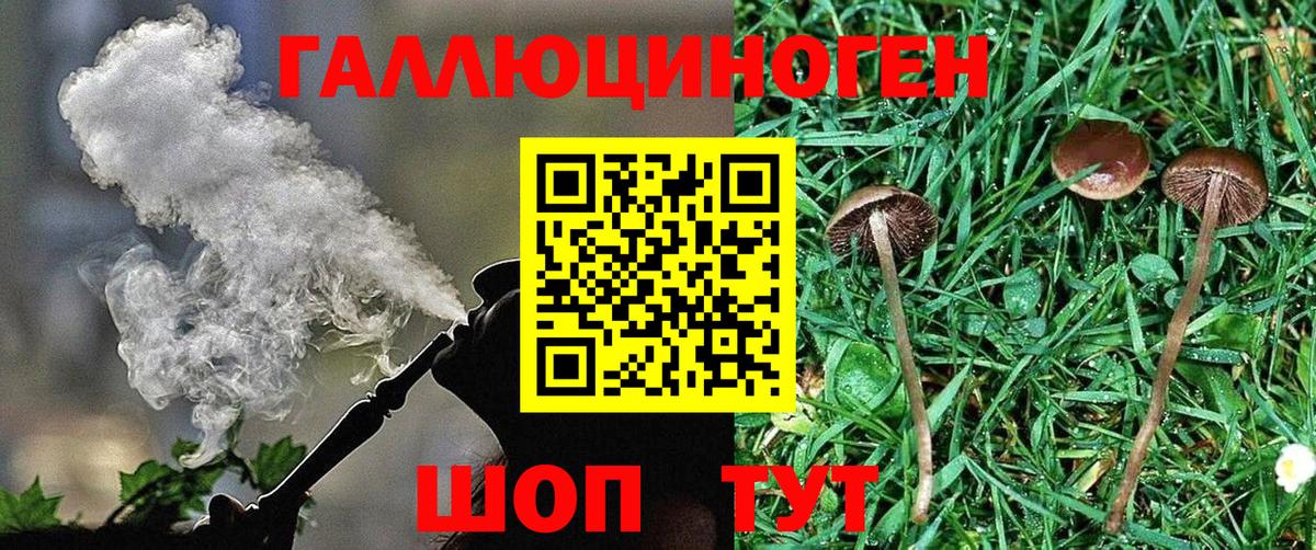 Бошки Шишки Дербент