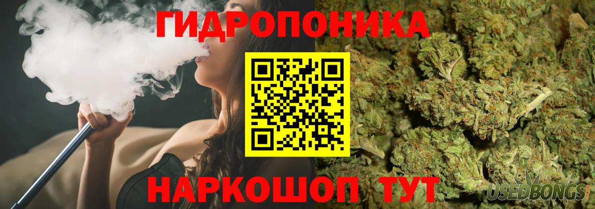 Конопля индика Дербент