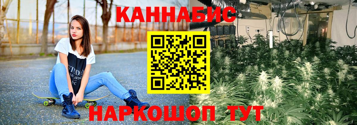 Конопля OG Kush Дербент